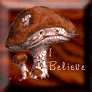 ibelieve10.gif